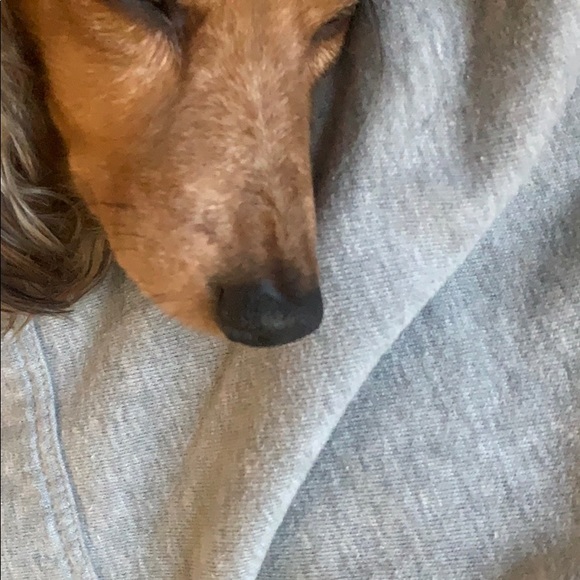 Meet your Posher, Zachary - Picture 1 of 1